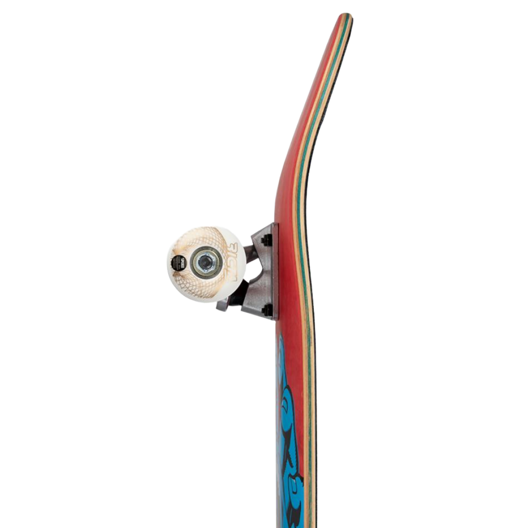 Santa Cruz - Screaming Hand 8" Complete (Shop Built)