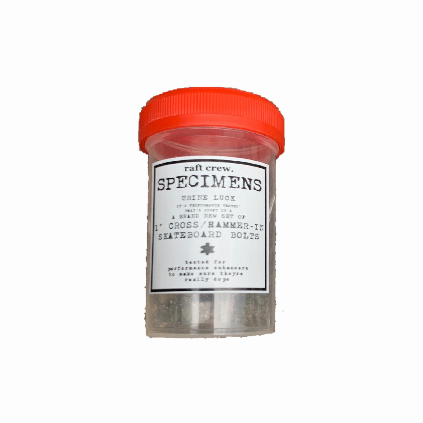 Raft Crew - Specimens 1" Phillips Bolts